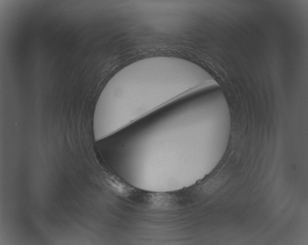 X0000052920336200507080807