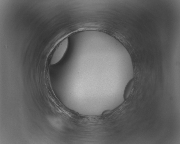 X0000052920338200507080806