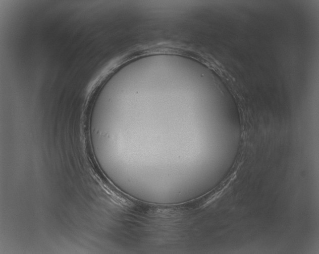 X0000052920341200507080806