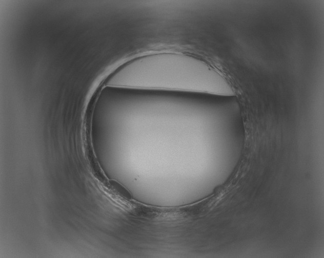 X0000052920342200507080806
