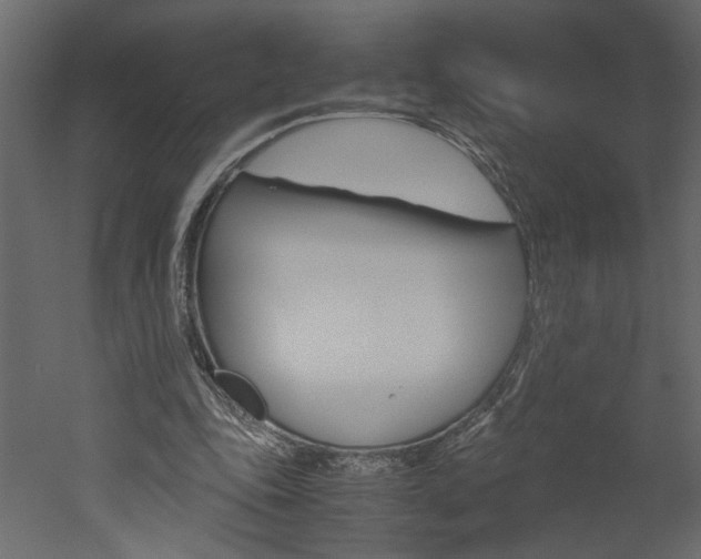 X0000052920343200507080806