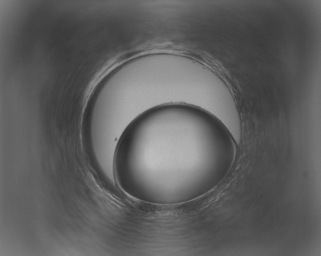 X0000052920344200507080806