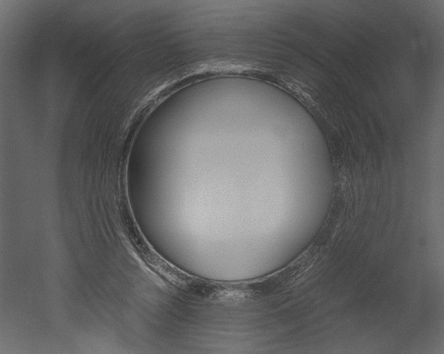 X0000052920352200507080806