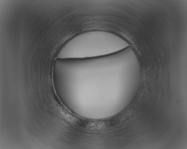 X0000052920353200507080806