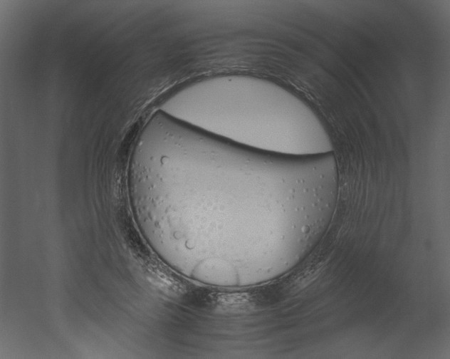 X0000052920355200507080806