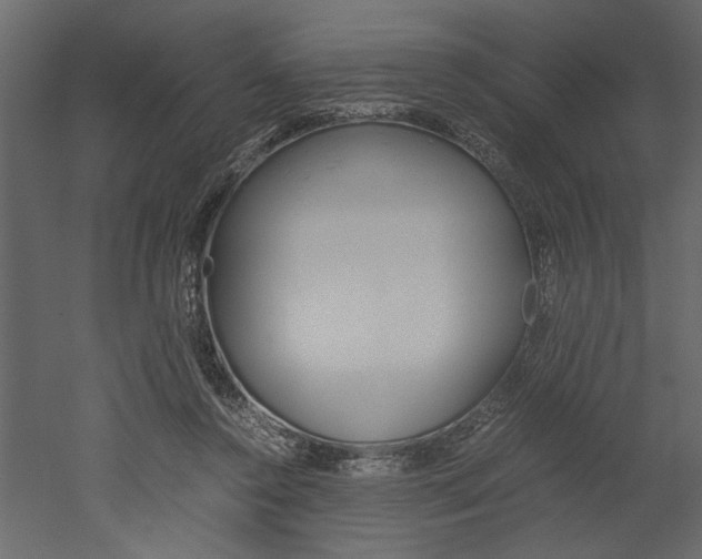 X0000052920356200507080806