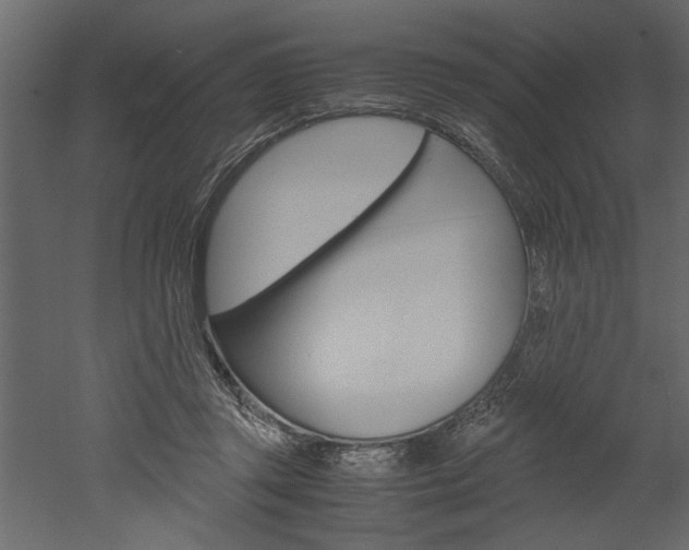 X0000052920357200507080806