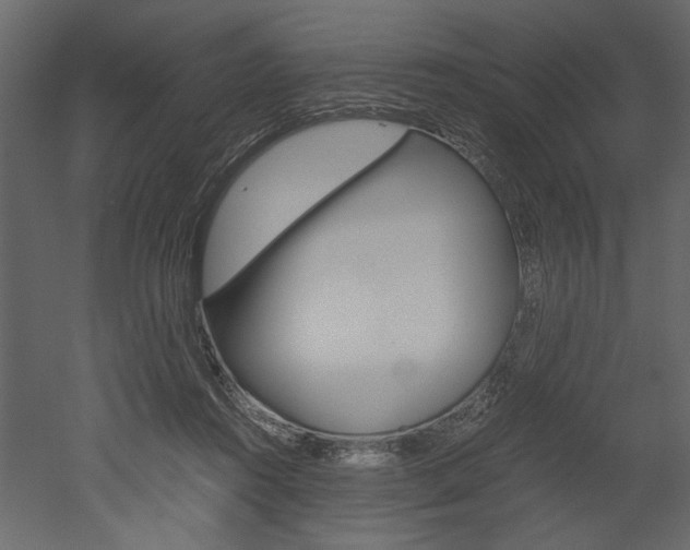X0000052920360200507080807