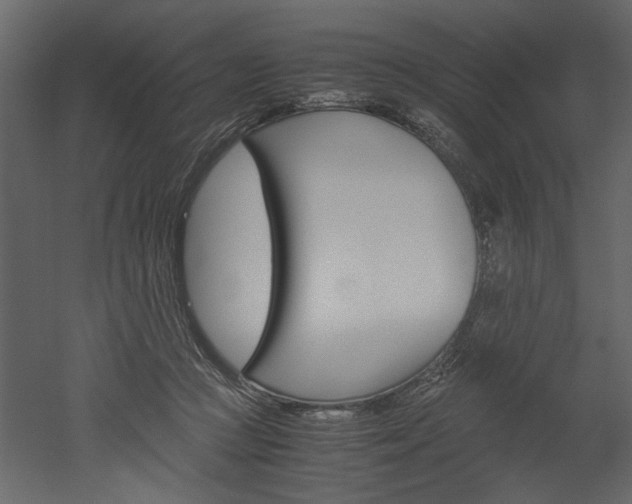 X0000052920361200507080807
