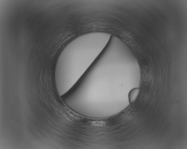 X0000052920363200507080807