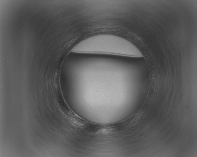 X0000052920364200507080807