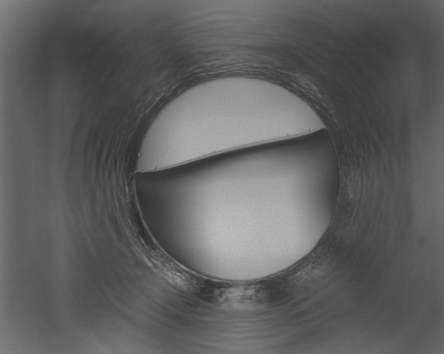 X0000052920366200507080807