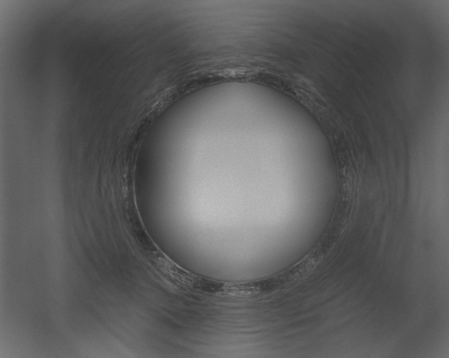 X0000052920368200507080807