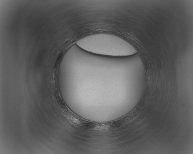 X0000052920369200507080807