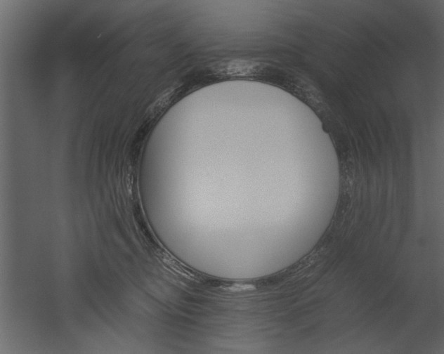 X0000052920374200507080807