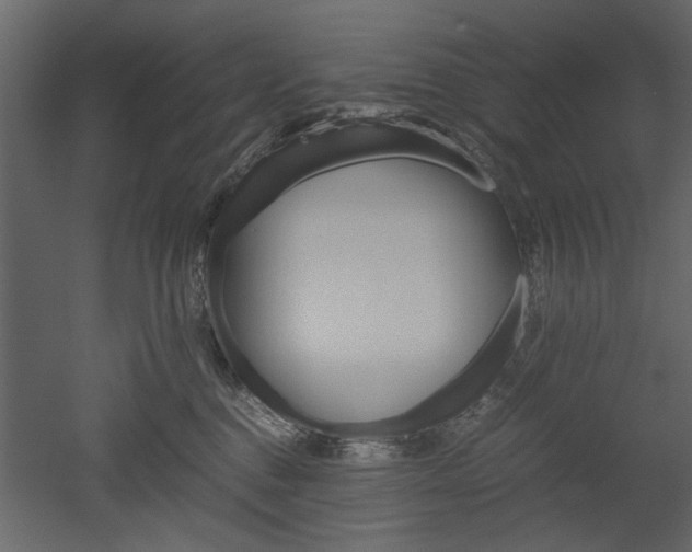 X0000052920376200507080807