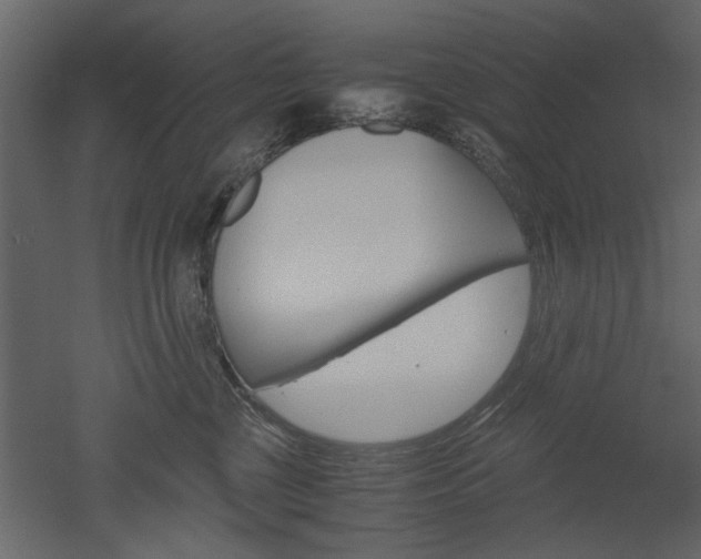 X0000052920377200507080807