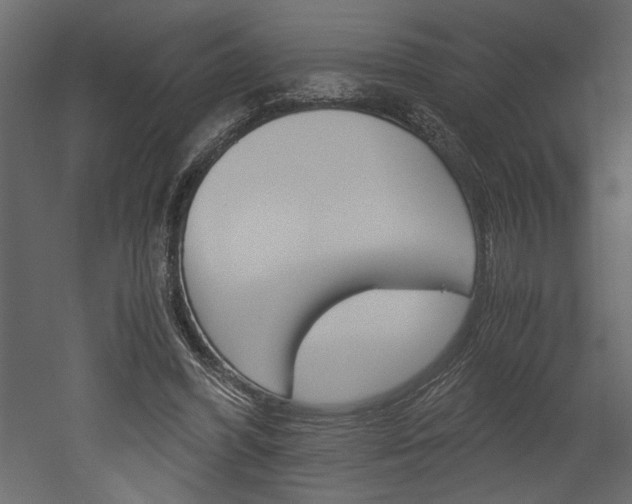 X0000052920396200507080806