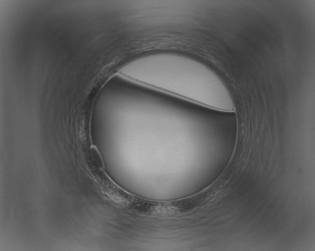 X0000052920403200507080806
