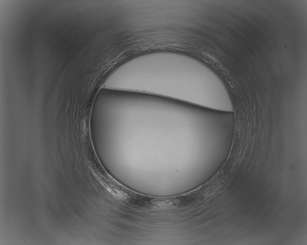 X0000052920405200507080806