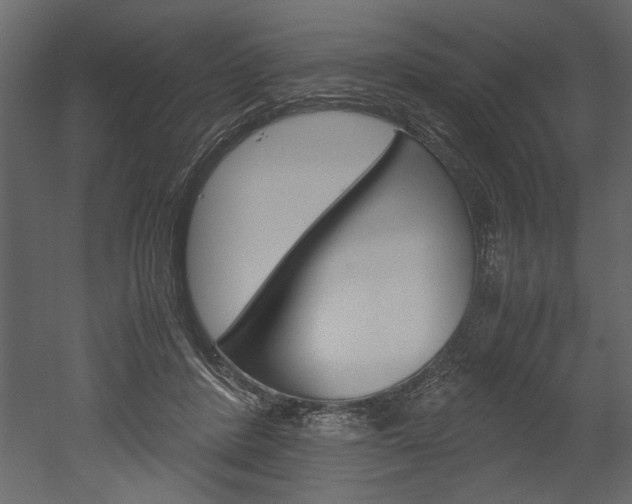 X0000052920408200507080806