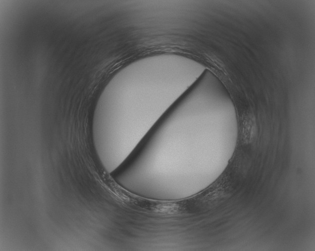X0000052920410200507080806