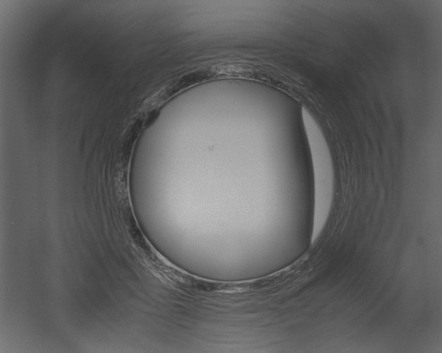 X0000052920411200507080806