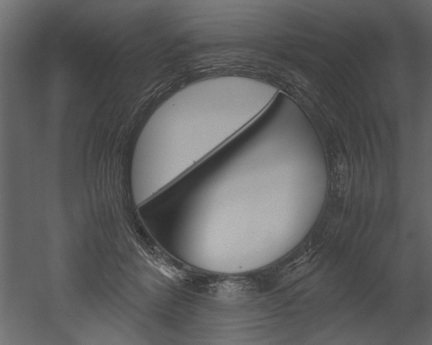 X0000052920412200507080806