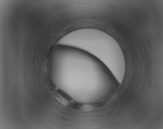 X0000052920413200507080806