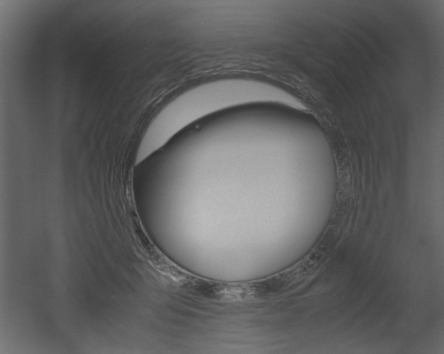 X0000052920415200507080806