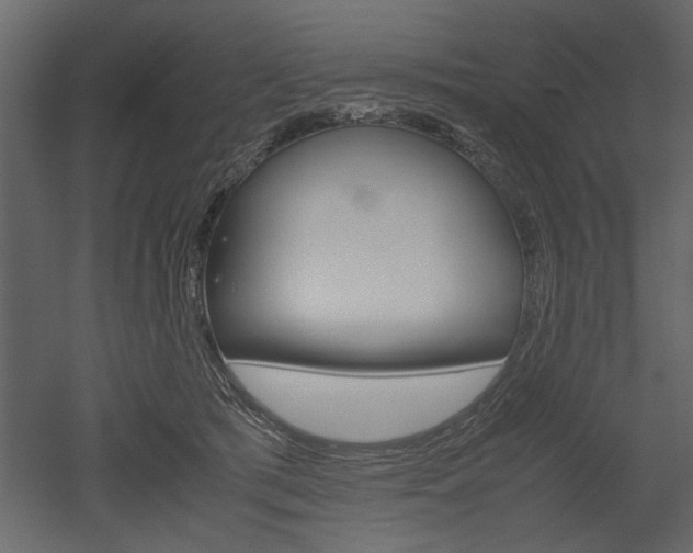 X0000052920417200507080806