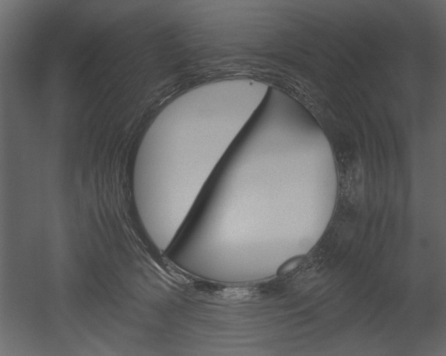 X0000052920418200507080806