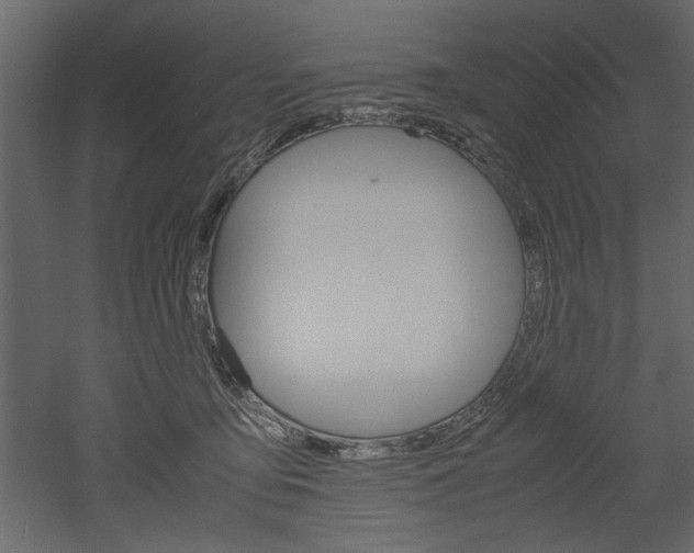 X0000052920419200507080806
