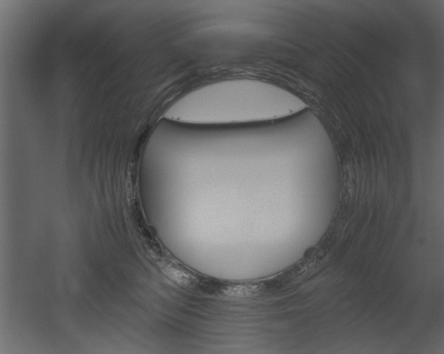 X0000052920422200507080805