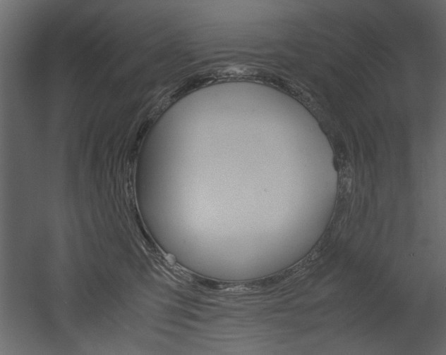 X0000052920423200507080805