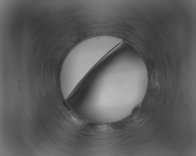 X0000052920424200507080805