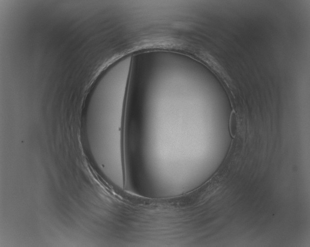 X0000052920434200507080805