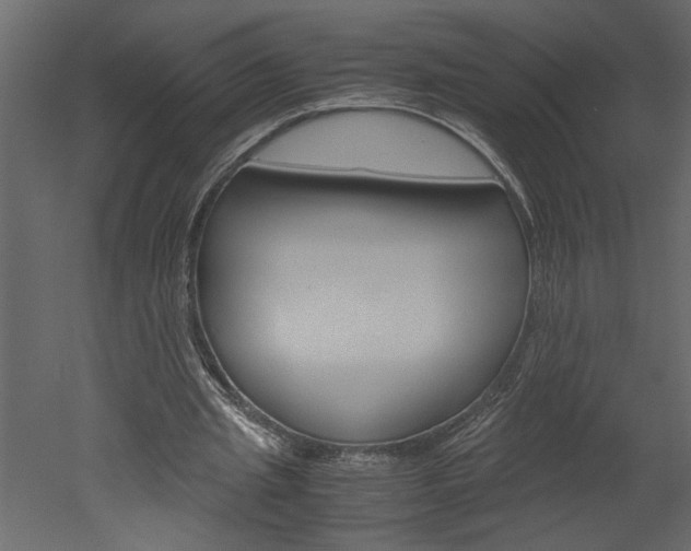 X0000052920437200507080805