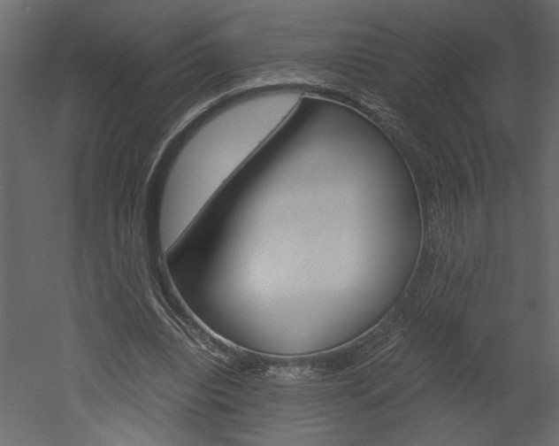 X0000052920440200507080805
