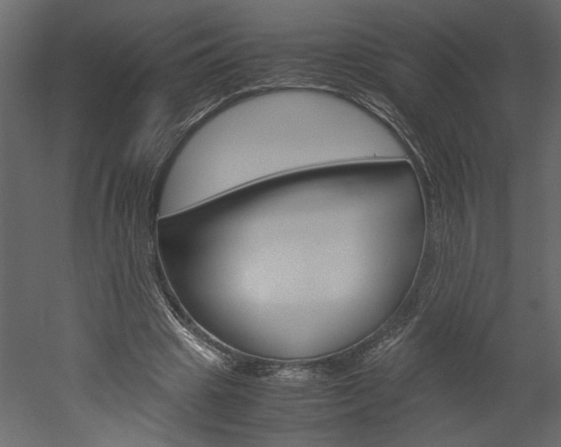 X0000052920441200507080805