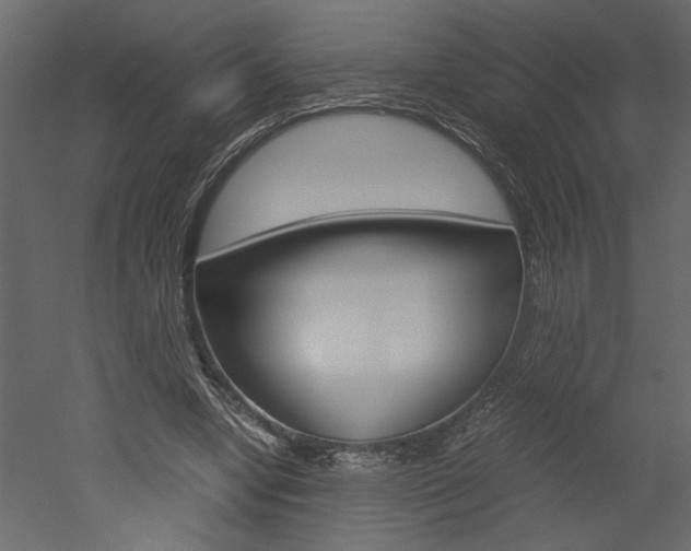 X0000052920442200507080805