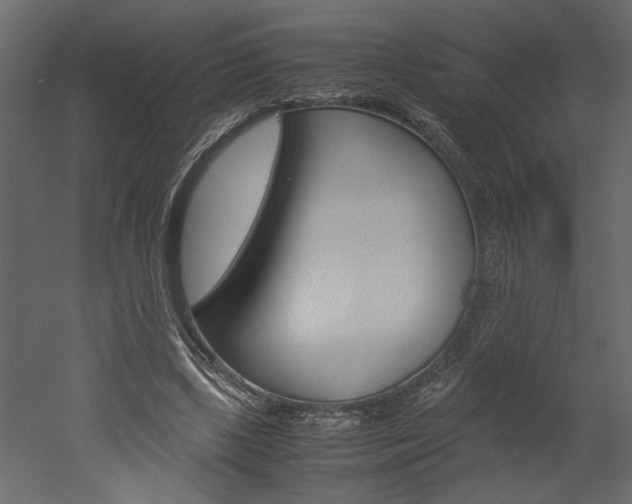 X0000052920443200507080805