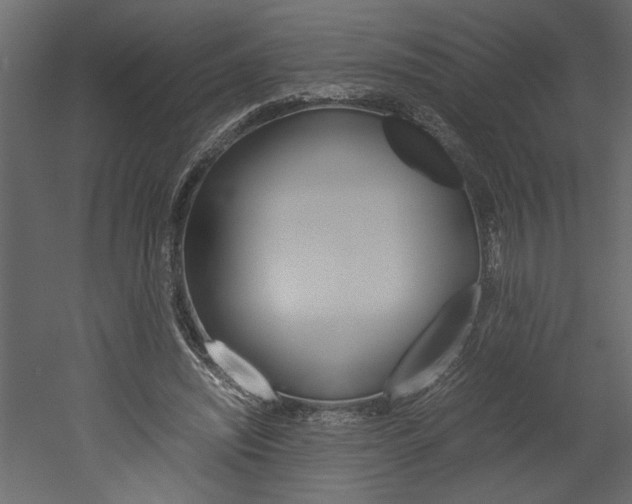 X0000052920444200507080805
