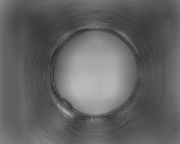 X0000052920445200507080805