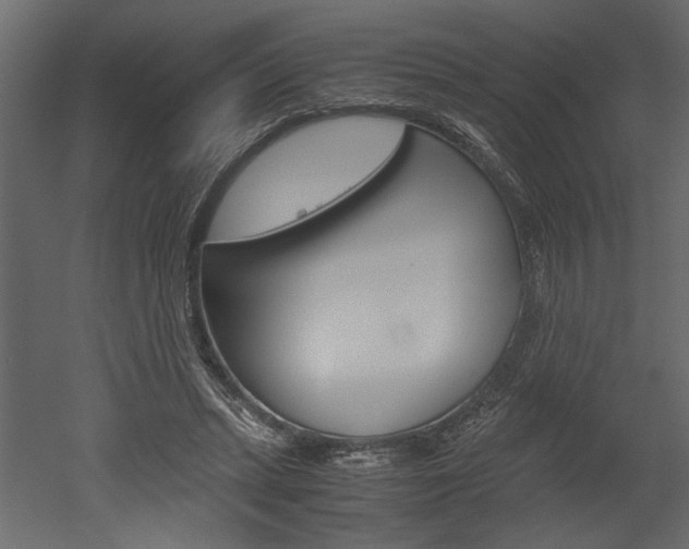 X0000052920447200507080805