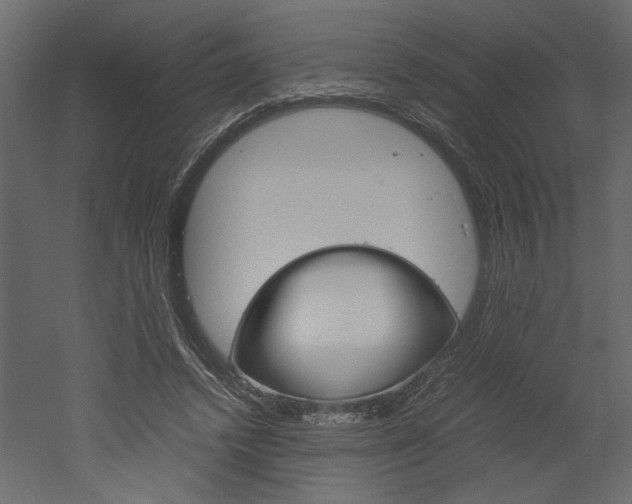 X0000052920448200507080805