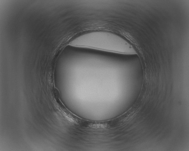X0000052920449200507080805