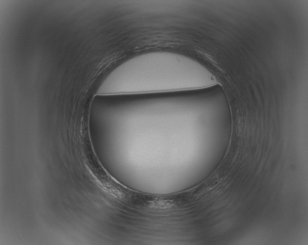 X0000052920451200507080805