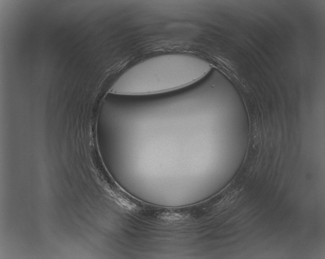 X0000052920453200507080805