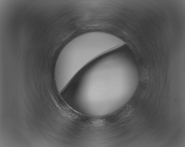X0000052920456200507080805